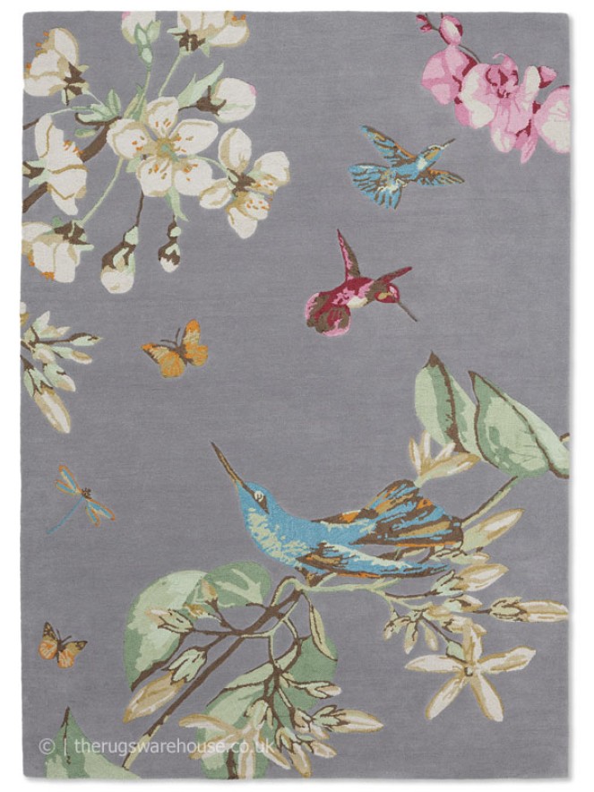 Hummingbird Grey Rug - 6