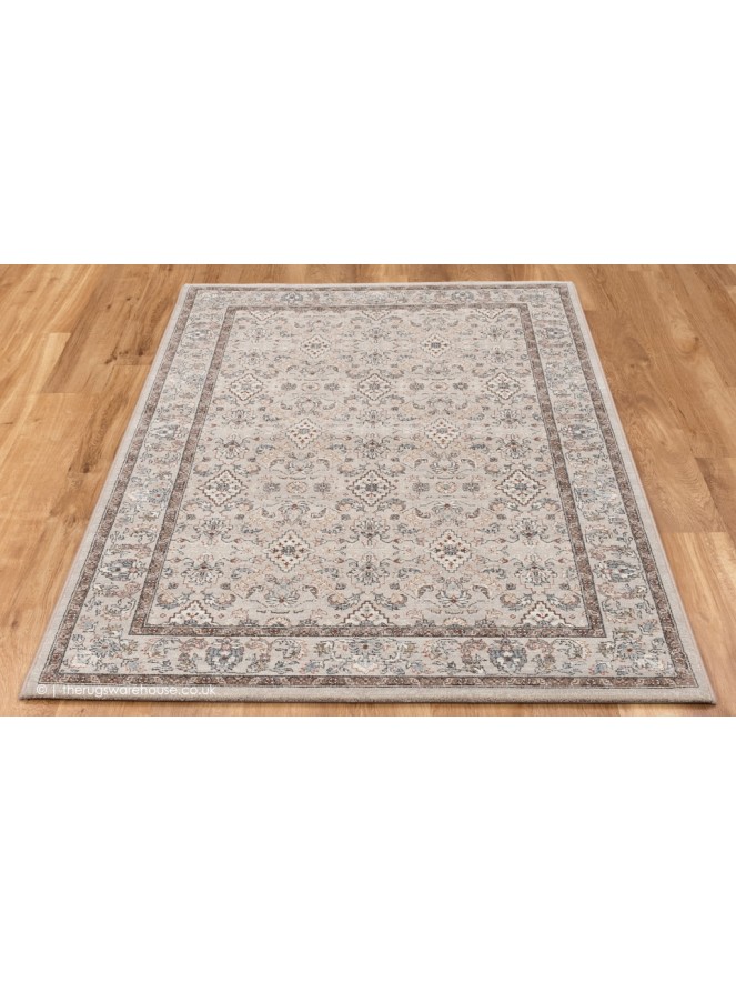 Bonefacio Grey Rug - 2