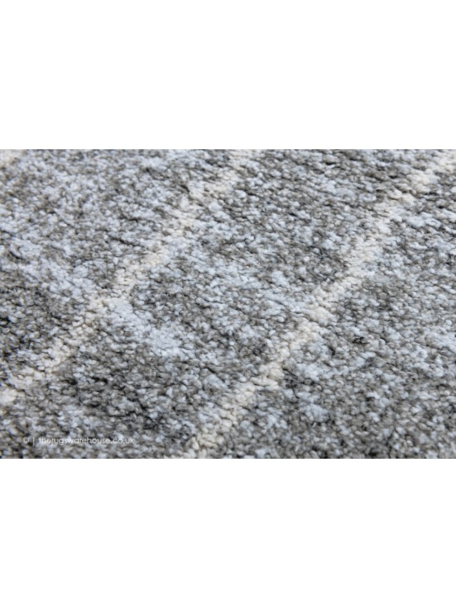 Marnero Silver Rug - 6