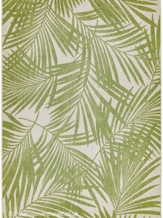 Patio Green Palm