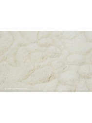 Royale Aubusson Ivory Rug - Thumbnail - 6