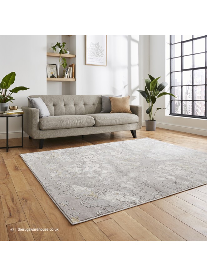 Apollo Distress Grey Gold Rug - 3