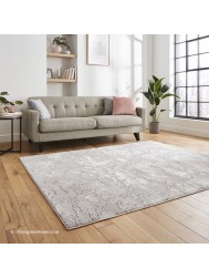 Apollo Distress Grey Rose Rug - Thumbnail - 2