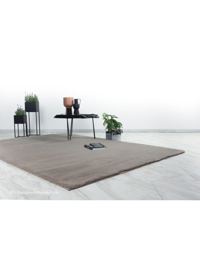 True Emotion Taupe Rug - 2