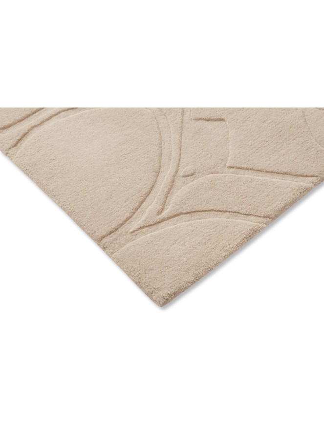 Magnolia Cream Rug - 6