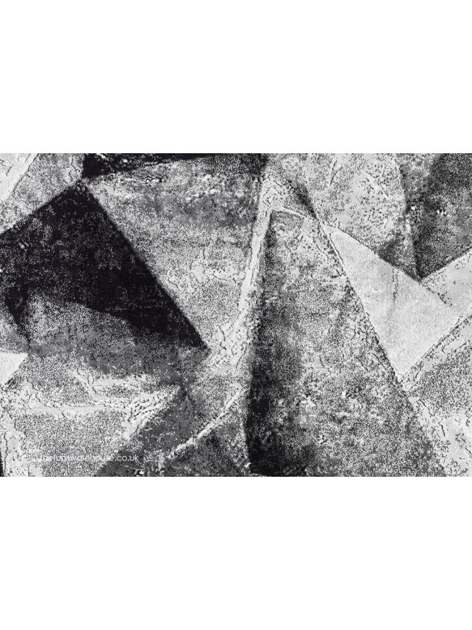 Parsa Rug - 4