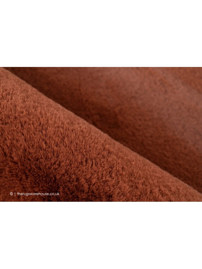 Heavenly Terracotta Rug - 3