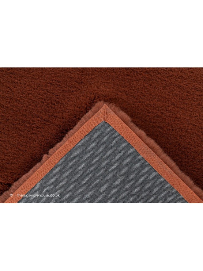 Heavenly Terracotta Rug - 4