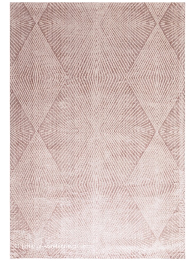 Blaize Blush Rug - 7