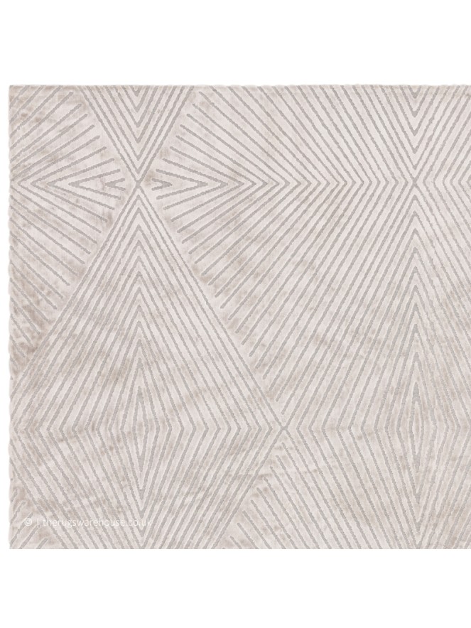 Blaize Silver Rug - 5