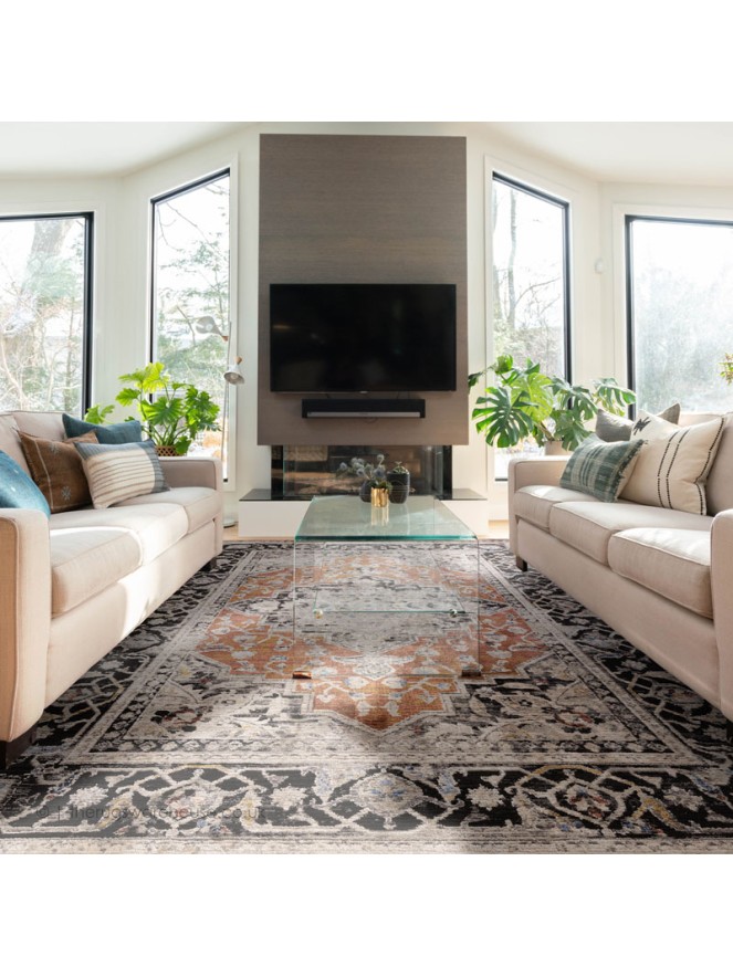 Terra Medallion Rug - 2