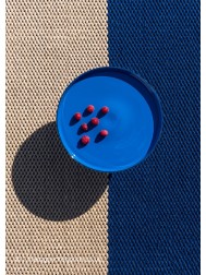 Deck Electric Blue Rug - Thumbnail - 4