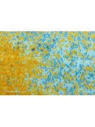 Newport Rug - Thumbnail - 6