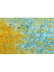 Newport Rug - Thumbnail - 7