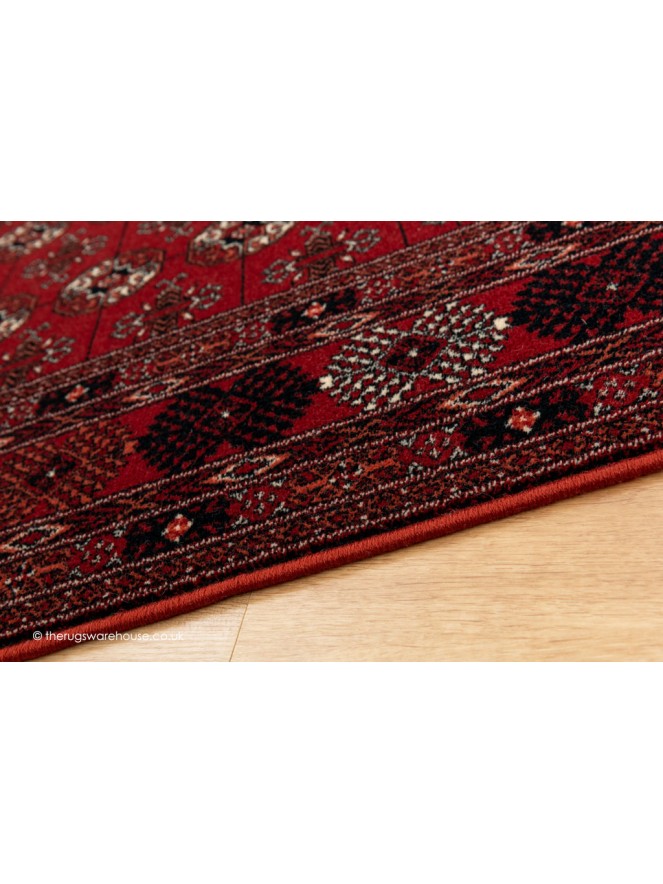 Raya Red Rug - 4