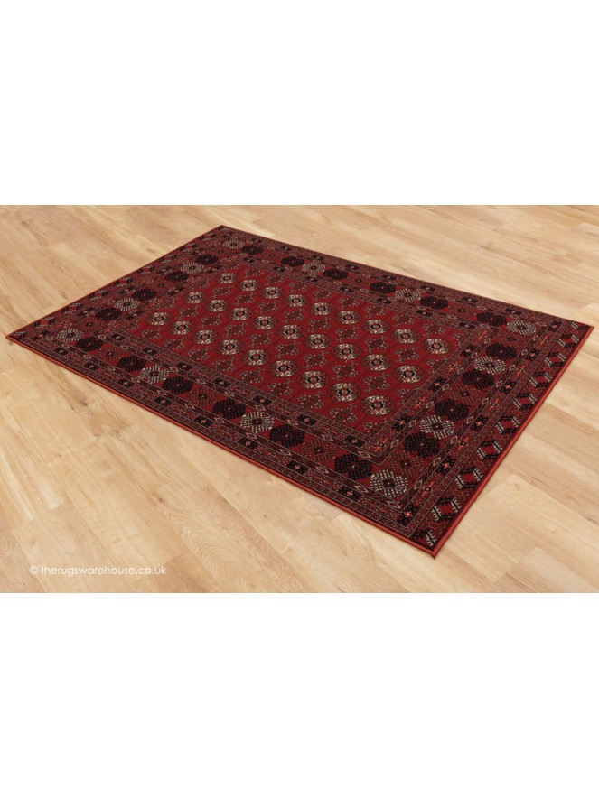 Raya Red Rug - 9