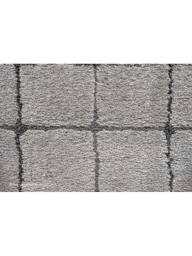 Beric Silver Rug - 4