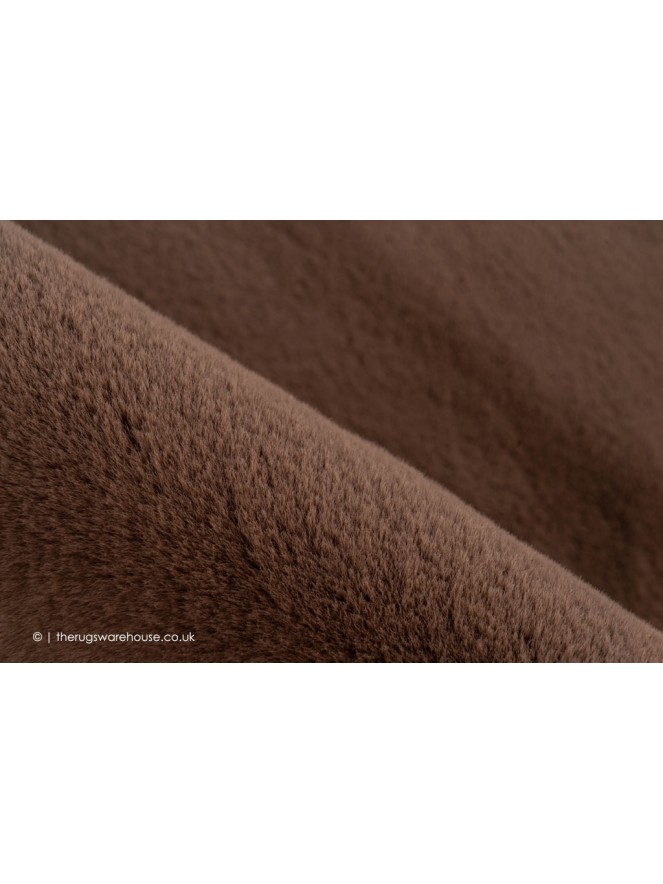 True Emotion Brown Rug - 3