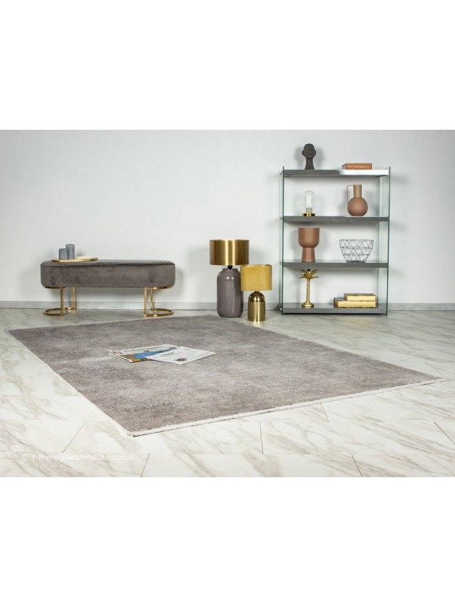 Loran Silver Rug - 2