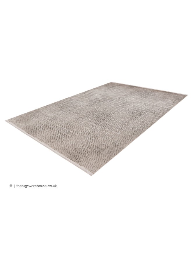 Loran Silver Rug - 5