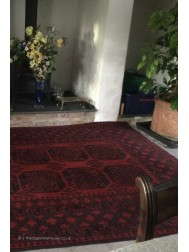 Aqcha Red Rug - Thumbnail - 2