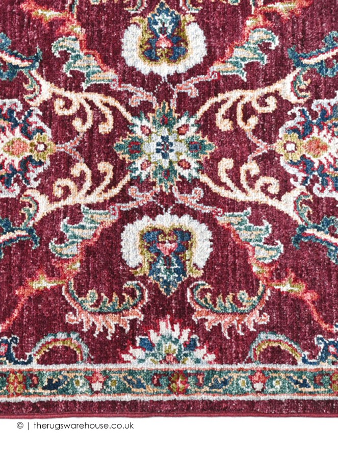 Aryana 17101 Rug - 4
