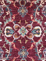 Aryana 17101 Rug - Thumbnail - 5
