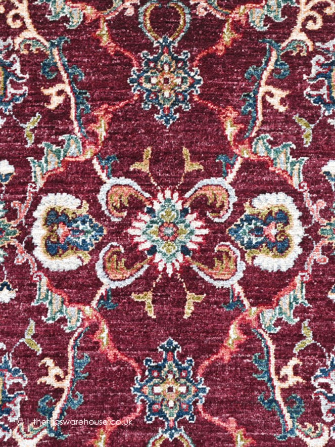 Aryana 17101 Rug - 5