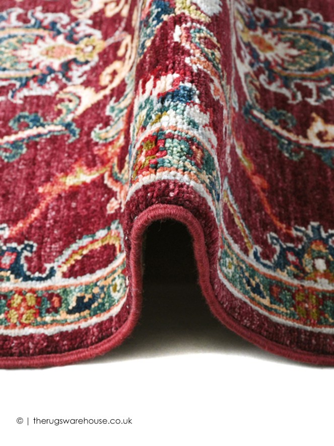 Aryana 17101 Rug - 6
