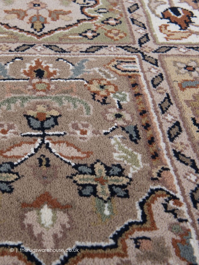 Bachtiari Brown Rug - 4