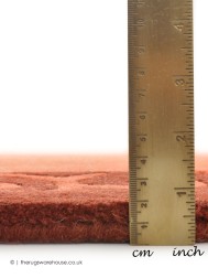 Ambadi Terra Rug - Thumbnail - 3