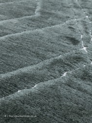 Nyala Green Rug - Thumbnail - 7