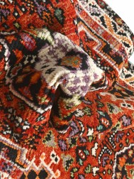 Khorso Abshar 18852 Runner - Thumbnail - 6