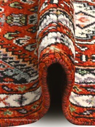 Khorso Abshar 18853 Runner - Thumbnail - 5