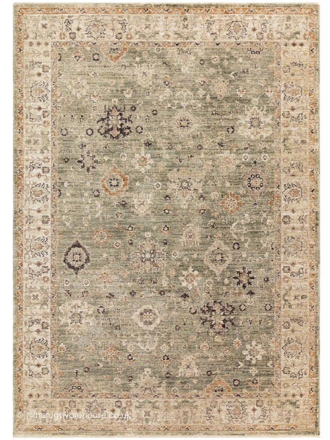 Heriz Ornate Green Rug - 9