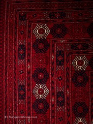 Fine Shakh Rug - Thumbnail - 5