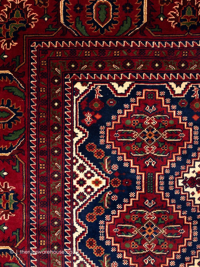 Kunduz Khamyab 15691 Rug - 4