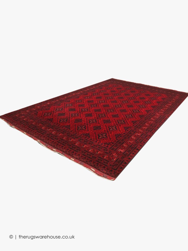 Fine Afghan Belgic 18868 Rug - 3