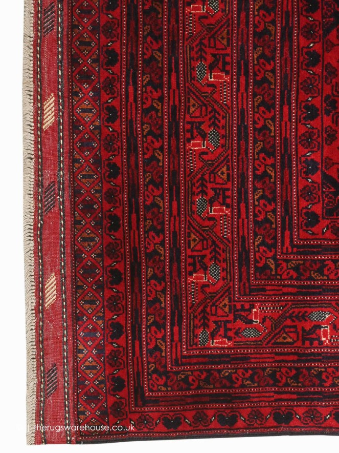 Fine Afghan Belgic 18868 Rug - 4