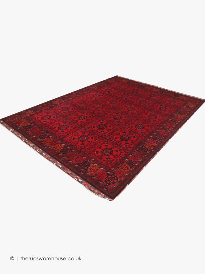 Fine Afghan Belgic 18869 Rug - 8