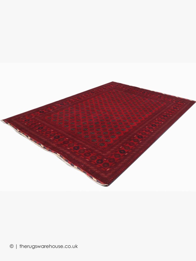 Fine Afghan Belgic 18871 Rug - 8