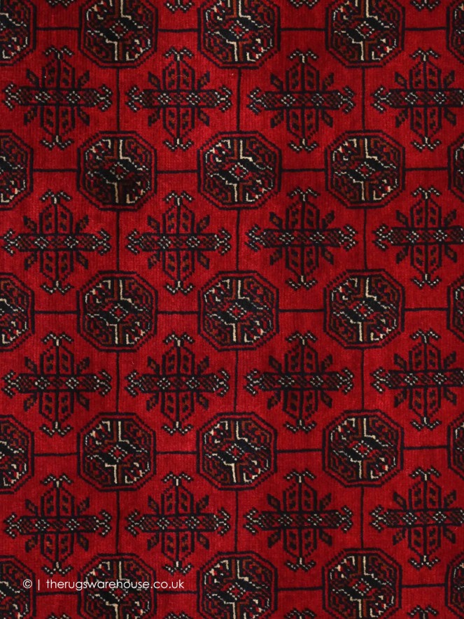 Fine Afghan Belgic 18872 Rug - 4