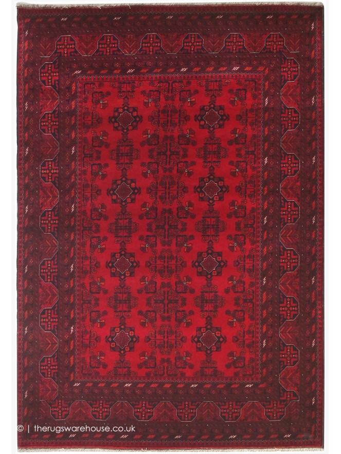 Fine Afghan Belgic 18873 Rug - 2