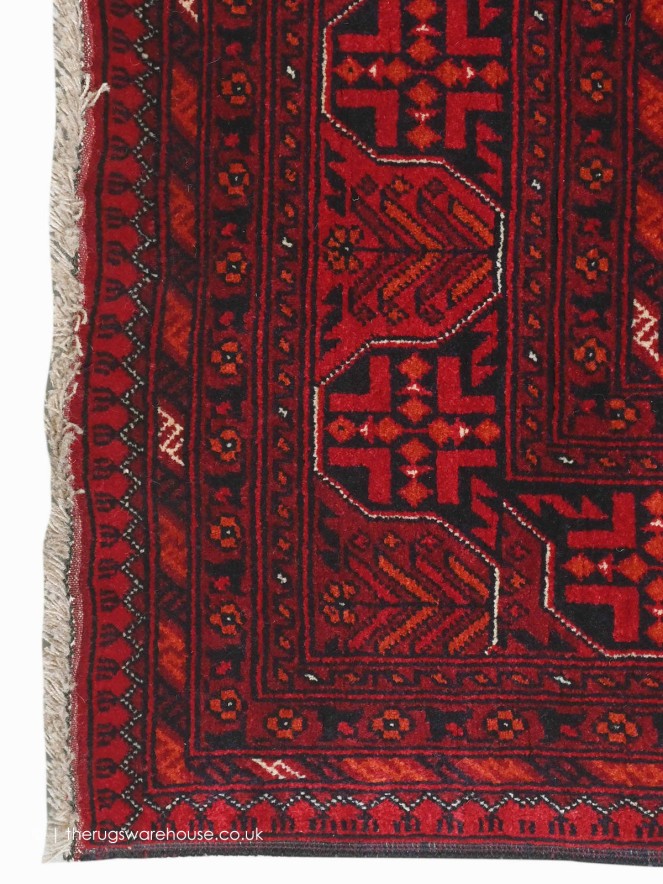 Fine Afghan Belgic 18873 Rug - 3