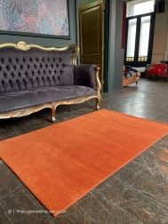 Everest Orange Rug - Thumbnail - 4