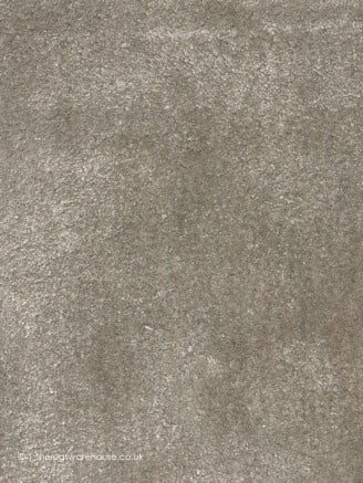 Dominica Taupe