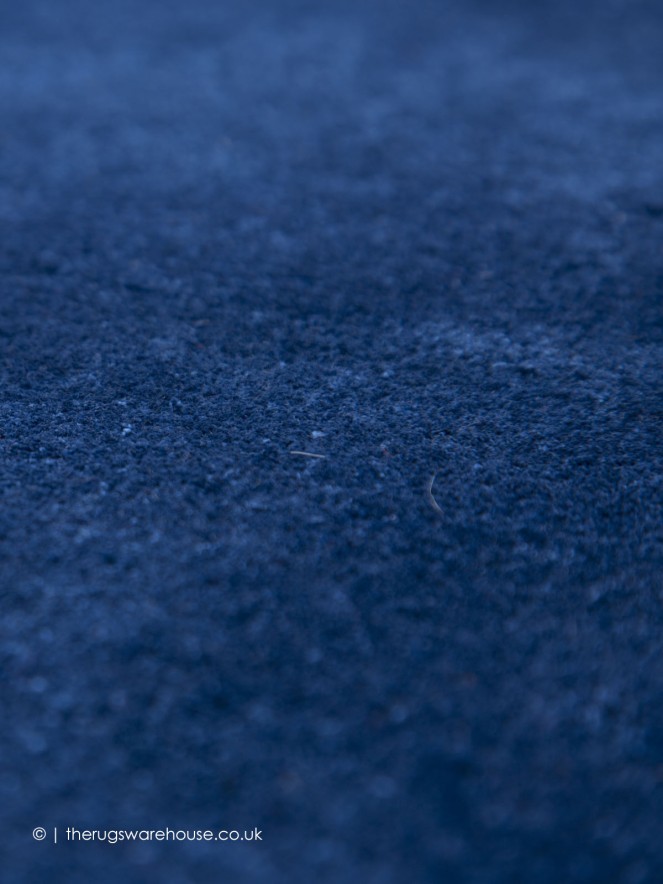 Dominica Blue Rug - 4