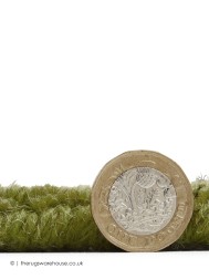 Windsor Border Green Rug - Thumbnail - 6