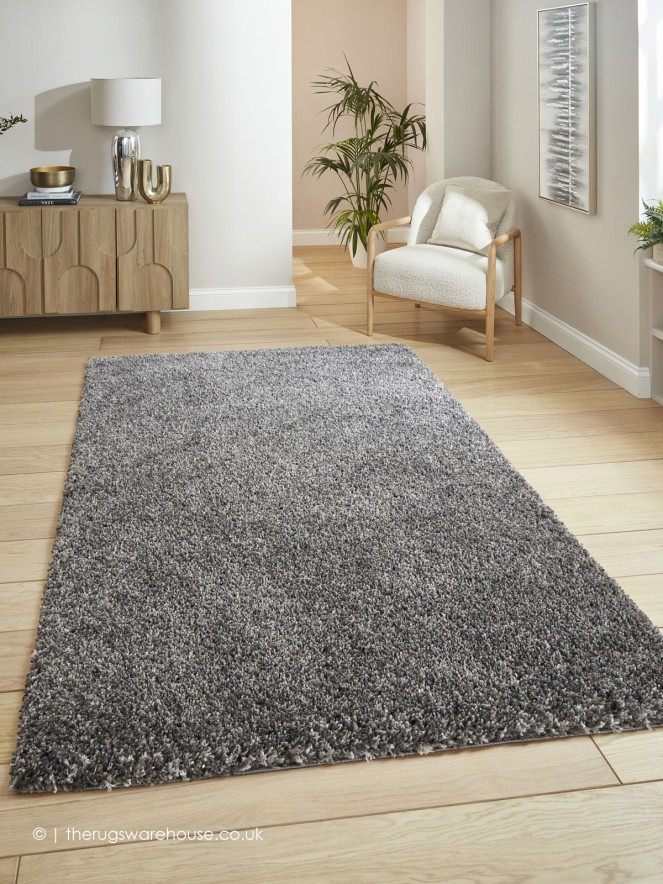 Vista Silver Rug - 2