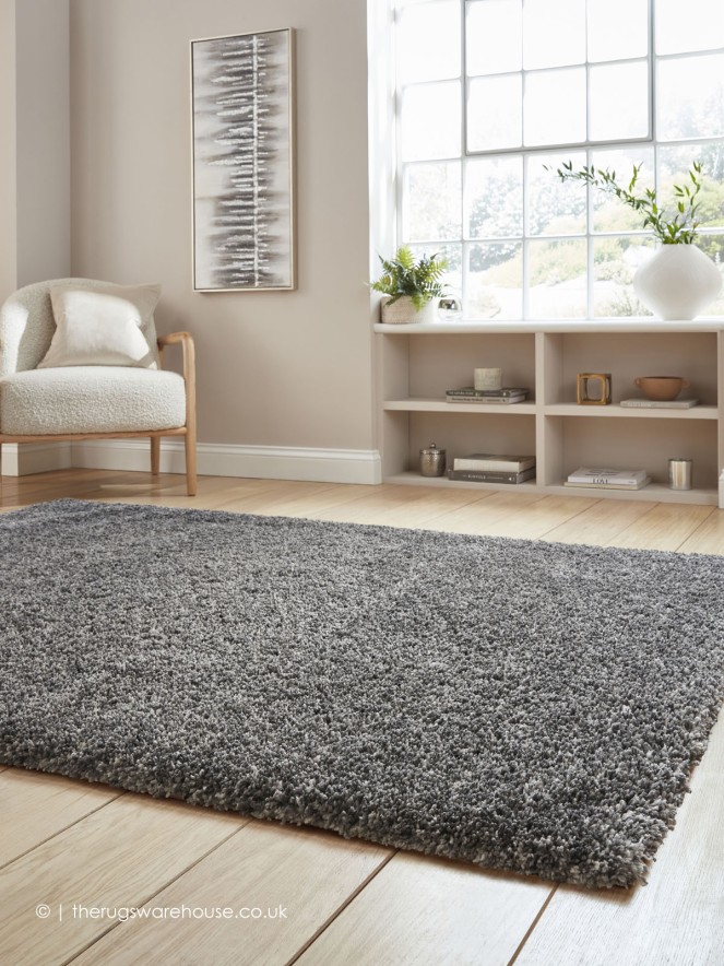 Vista Silver Rug - 3